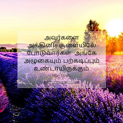 Picture 07 - மத்தேயு 13:42 TAMIRV - அவர்களை - Bible Verse Picture