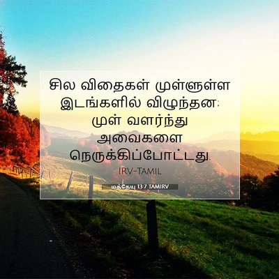 Picture 07 - மத்தேயு 13:7 TAMIRV - சில விதைகள் - Bible Verse Picture