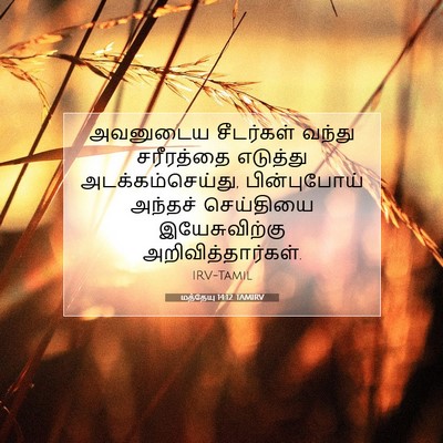 Picture 07 - மத்தேயு 14:12 TAMIRV - அவனுடைய சீடர்கள் - Bible Verse Picture