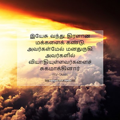 Picture 07 - மத்தேயு 14:14 TAMIRV - இயேசு வந்து, - Bible Verse Picture