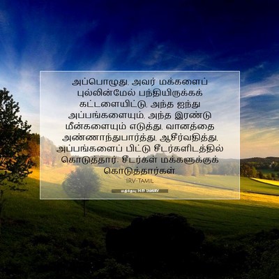Picture 07 - மத்தேயு 14:19 TAMIRV - அப்பொழுது, அவர் - Bible Verse Picture