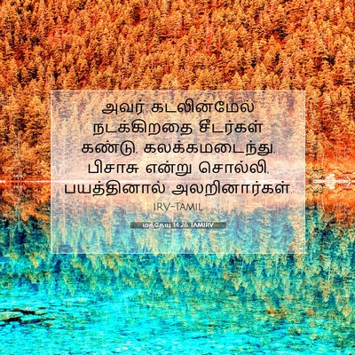 Picture 07 - மத்தேயு 14:26 TAMIRV - அவர் கடலின்மேல் - Bible Verse Picture