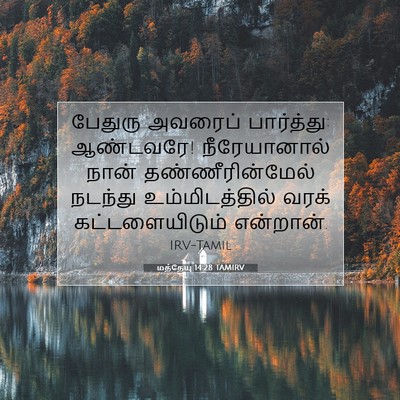 Picture 07 - மத்தேயு 14:28 TAMIRV - பேதுரு அவரைப் - Bible Verse Picture