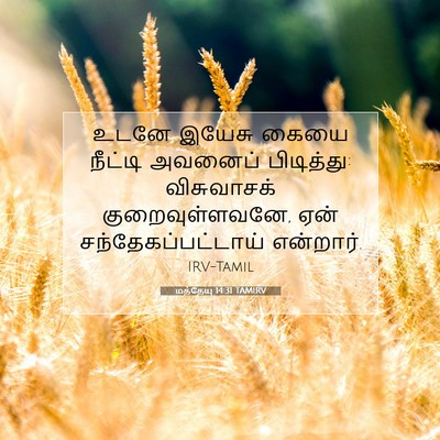 Picture 07 - மத்தேயு 14:31 TAMIRV - உடனே இயேசு கையை - Bible Verse Picture