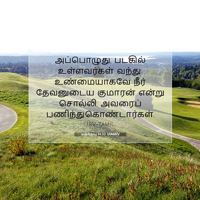 Picture 07 - மத்தேயு 14:33 TAMIRV - அப்பொழுது, படகில் - Bible Verse Picture