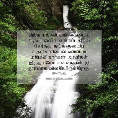 Picture 07 - மத்தேயு 15:8 TAMIRV - இந்த மக்கள் - Bible Verse Picture