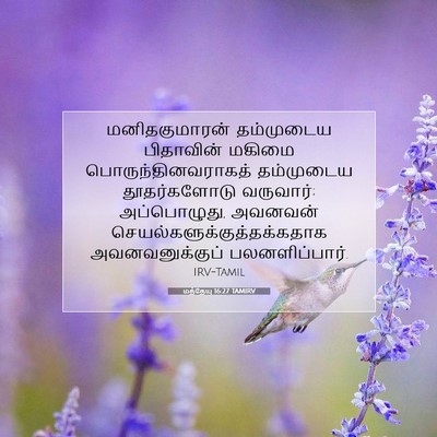 Picture 07 - மத்தேயு 16:27 TAMIRV - மனிதகுமாரன் - Bible Verse Picture
