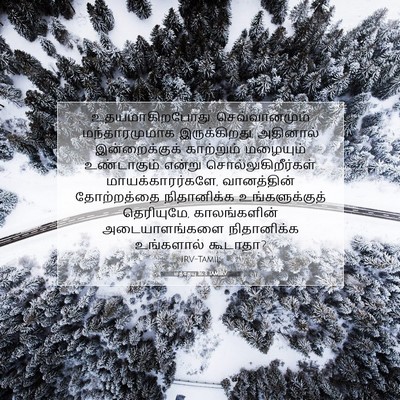 Picture 07 - மத்தேயு 16:3 TAMIRV - உதயமாகிறபோது, - Bible Verse Picture