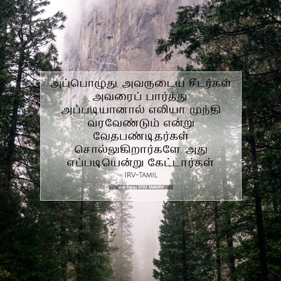Picture 07 - மத்தேயு 17:10 TAMIRV - அப்பொழுது, - Bible Verse Picture