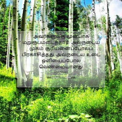 Picture 07 - மத்தேயு 17:2 TAMIRV - அவர்களுக்கு - Bible Verse Picture