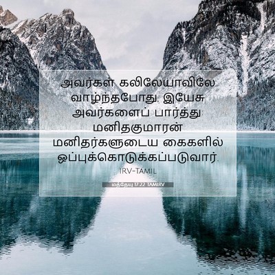 Picture 07 - மத்தேயு 17:22 TAMIRV - அவர்கள் - Bible Verse Picture