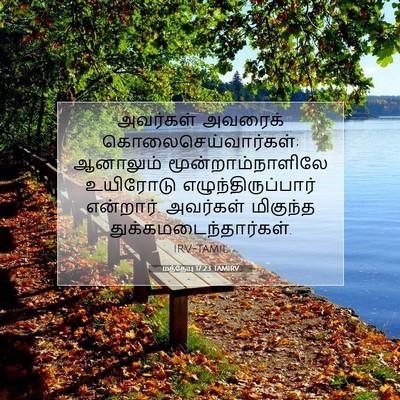 Picture 07 - மத்தேயு 17:23 TAMIRV - அவர்கள் அவரைக் - Bible Verse Picture