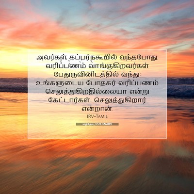 Picture 07 - மத்தேயு 17:24 TAMIRV - அவர்கள் - Bible Verse Picture