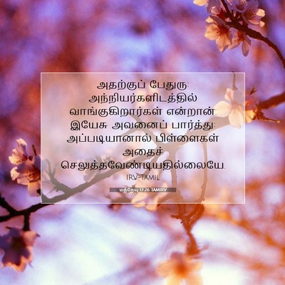 Picture 07 - மத்தேயு 17:26 TAMIRV - அதற்குப் பேதுரு: - Bible Verse Picture