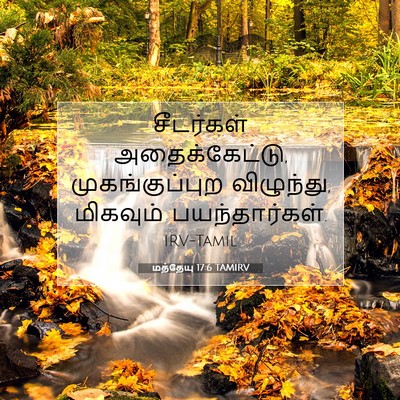 Picture 07 - மத்தேயு 17:6 TAMIRV - சீடர்கள் - Bible Verse Picture
