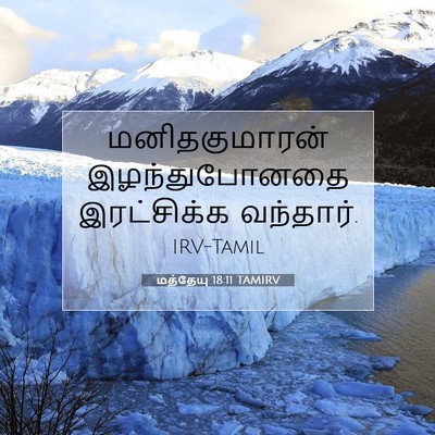 Picture 07 - மத்தேயு 18:11 TAMIRV - மனிதகுமாரன் - Bible Verse Picture