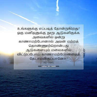 Picture 07 - மத்தேயு 18:12 TAMIRV - உங்களுக்கு - Bible Verse Picture