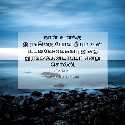 Picture 07 - மத்தேயு 18:33 TAMIRV - நான் உனக்கு - Bible Verse Picture