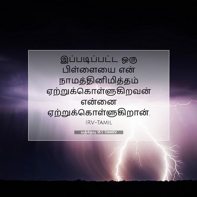 Picture 07 - மத்தேயு 18:5 TAMIRV - இப்படிப்பட்ட ஒரு - Bible Verse Picture