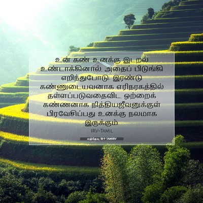 Picture 07 - மத்தேயு 18:9 TAMIRV - உன் கண் உனக்கு - Bible Verse Picture