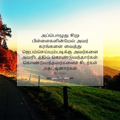 Picture 07 - மத்தேயு 19:13 TAMIRV - அப்பொழுது, சிறு - Bible Verse Picture