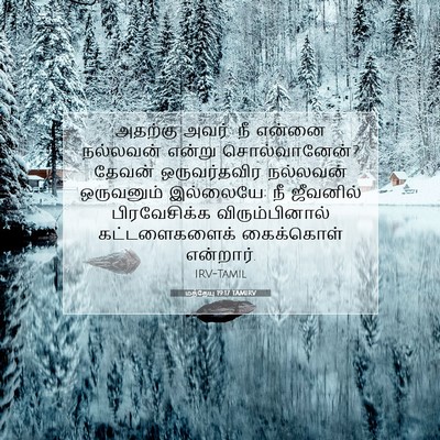 Picture 07 - மத்தேயு 19:17 TAMIRV - அதற்கு அவர்: நீ - Bible Verse Picture