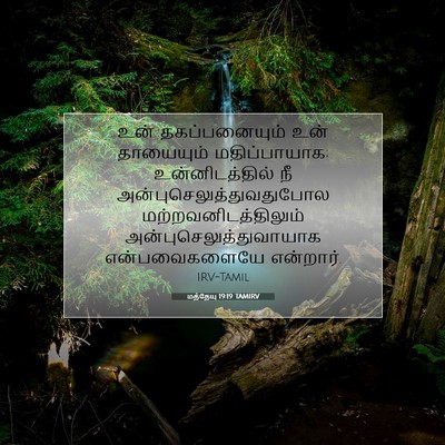 Picture 07 - மத்தேயு 19:19 TAMIRV - உன் தகப்பனையும் - Bible Verse Picture