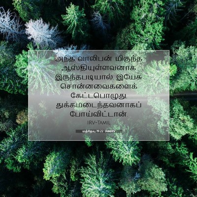 Picture 07 - மத்தேயு 19:22 TAMIRV - அந்த வாலிபன் - Bible Verse Picture