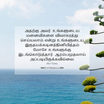 Picture 07 - மத்தேயு 19:8 TAMIRV - அதற்கு அவர்: - Bible Verse Picture