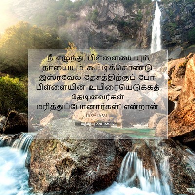 Picture 07 - மத்தேயு 2:20 TAMIRV - “நீ எழுந்து, - Bible Verse Picture