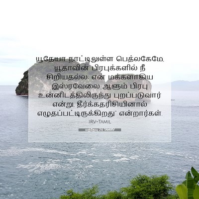 Picture 07 - மத்தேயு 2:6 TAMIRV - யூதேயா - Bible Verse Picture