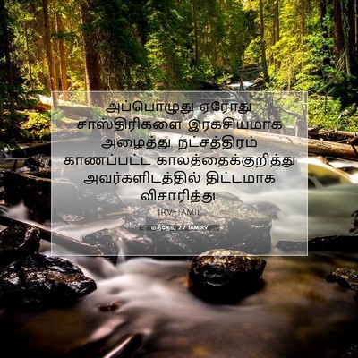 Picture 07 - மத்தேயு 2:7 TAMIRV - அப்பொழுது ஏரோது, - Bible Verse Picture