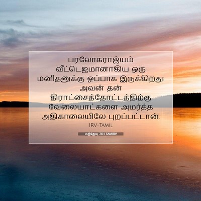 Picture 07 - மத்தேயு 20:1 TAMIRV - பரலோகராஜ்யம் - Bible Verse Picture