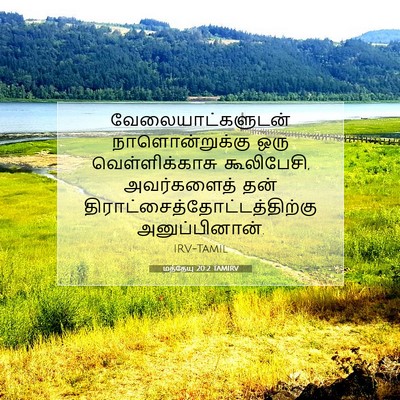 Picture 07 - மத்தேயு 20:2 TAMIRV - வேலையாட்களுடன் - Bible Verse Picture
