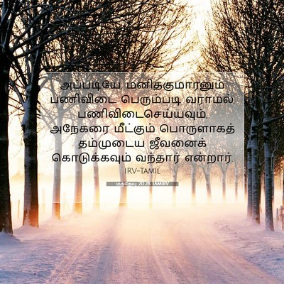Picture 07 - மத்தேயு 20:28 TAMIRV - அப்படியே, - Bible Verse Picture