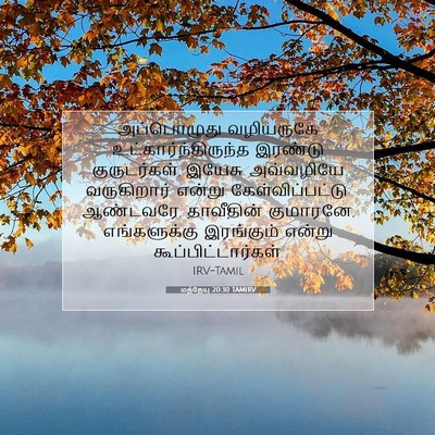 Picture 07 - மத்தேயு 20:30 TAMIRV - அப்பொழுது - Bible Verse Picture