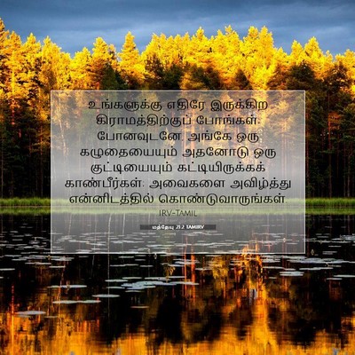Picture 07 - மத்தேயு 21:2 TAMIRV - உங்களுக்கு எதிரே - Bible Verse Picture