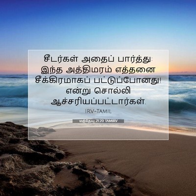 Picture 07 - மத்தேயு 21:20 TAMIRV - சீடர்கள் அதைப் - Bible Verse Picture