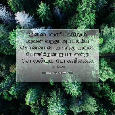 Picture 07 - மத்தேயு 21:30 TAMIRV - இளையவனிடத்திலும் - Bible Verse Picture