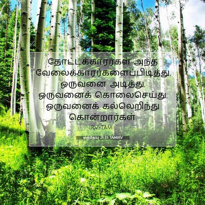 Picture 07 - மத்தேயு 21:35 TAMIRV - தோட்டக்காரர்கள் - Bible Verse Picture