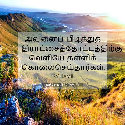 Picture 07 - மத்தேயு 21:39 TAMIRV - அவனைப் பிடித்துத் - Bible Verse Picture