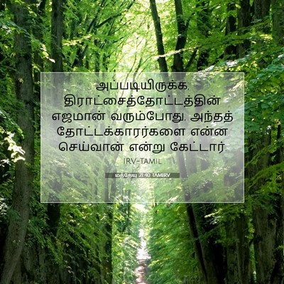 Picture 07 - மத்தேயு 21:40 TAMIRV - அப்படியிருக்க, - Bible Verse Picture