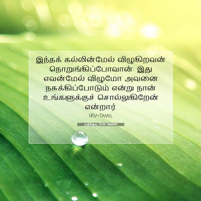 Picture 07 - மத்தேயு 21:44 TAMIRV - இந்தக் - Bible Verse Picture