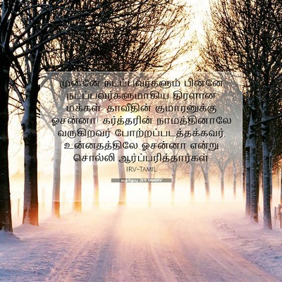 Picture 07 - மத்தேயு 21:9 TAMIRV - முன்னே - Bible Verse Picture