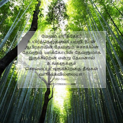 Picture 07 - மத்தேயு 22:31 TAMIRV - மேலும் மரித்தோர் - Bible Verse Picture