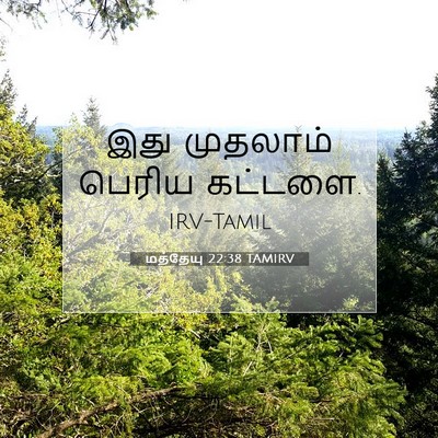 Picture 07 - மத்தேயு 22:38 TAMIRV - இது முதலாம் பெரிய - Bible Verse Picture