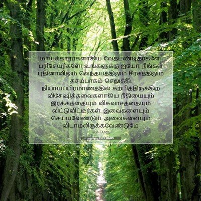 Picture 07 - மத்தேயு 23:23 TAMIRV - மாயக்காரர்களாகிய - Bible Verse Picture