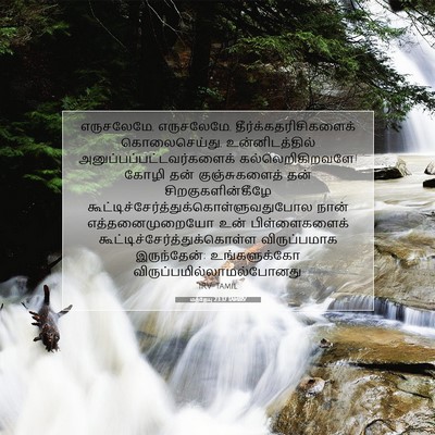 Picture 07 - மத்தேயு 23:37 TAMIRV - எருசலேமே, - Bible Verse Picture
