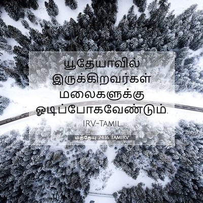 Picture 07 - மத்தேயு 24:16 TAMIRV - யூதேயாவில் - Bible Verse Picture