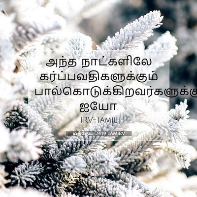 Picture 07 - மத்தேயு 24:19 TAMIRV - அந்த நாட்களிலே - Bible Verse Picture